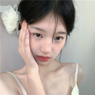 鲨与鲸